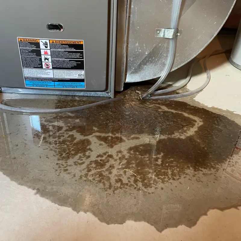 Appliance Leak Cleanup in McLendon-Chisholm, TX