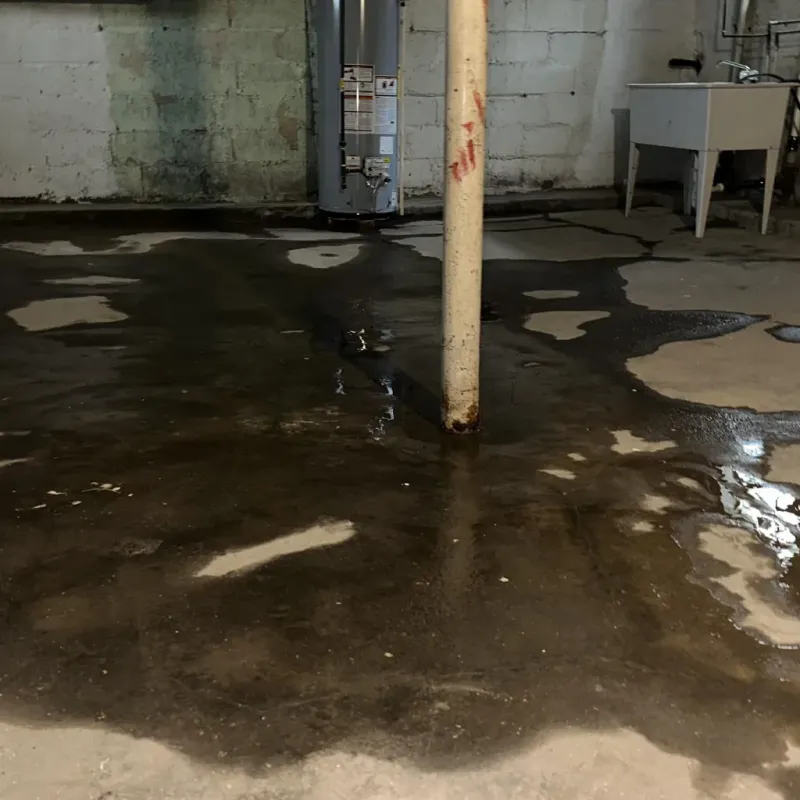 Emergency Water Extraction And Removal in McLendon-Chisholm, TX